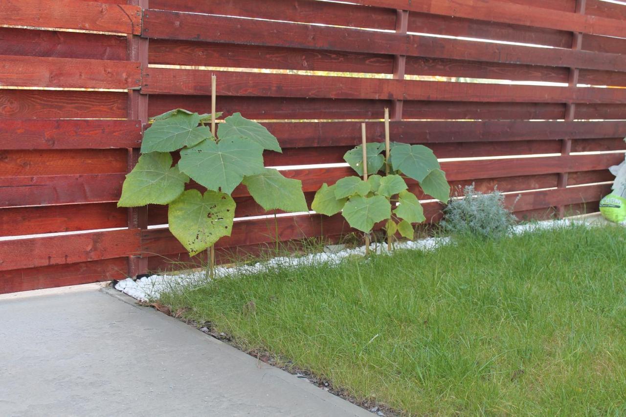 Cu Gradina Proprie Apartment *